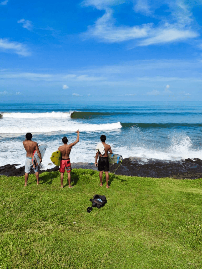 Kids surfing beach with ocean waves, sunny sky, and lush green grass, perfect for surf lessons and seaside fun.