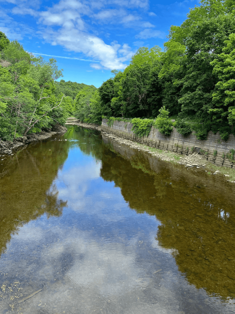 Clear river with lush greenery and blue sky, scenic outdoor nature landscape.