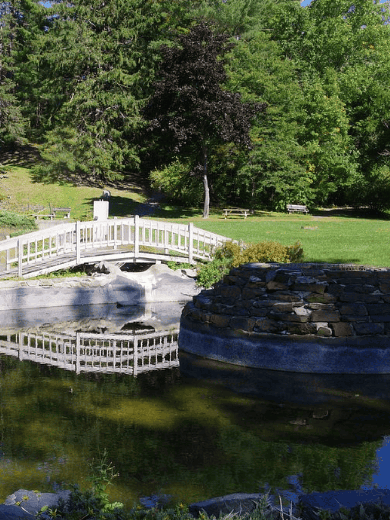 Serene park scene with a small bridge over water, lush green trees, and benches. Perfect for community and outdoor activities.