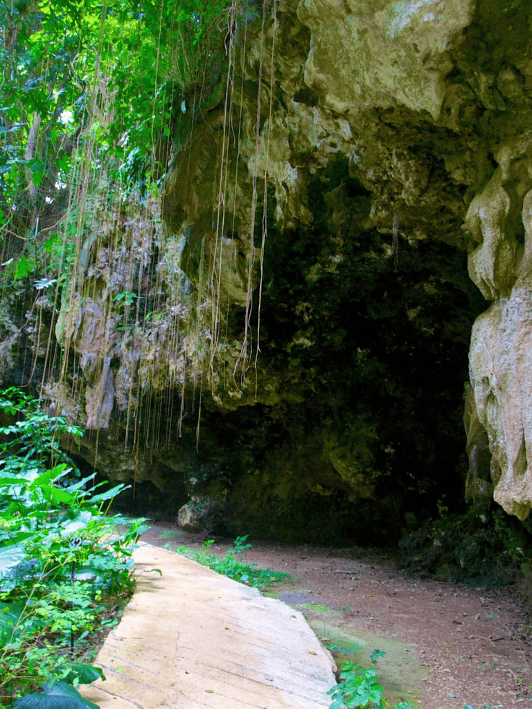 Lush jungle cave entrance with rocks and vines, adventure travel destination for explorers and nature lovers.