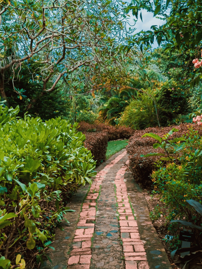 Lush garden pathway with brick and cobblestone, surrounded by vibrant green foliage and colorful plants.