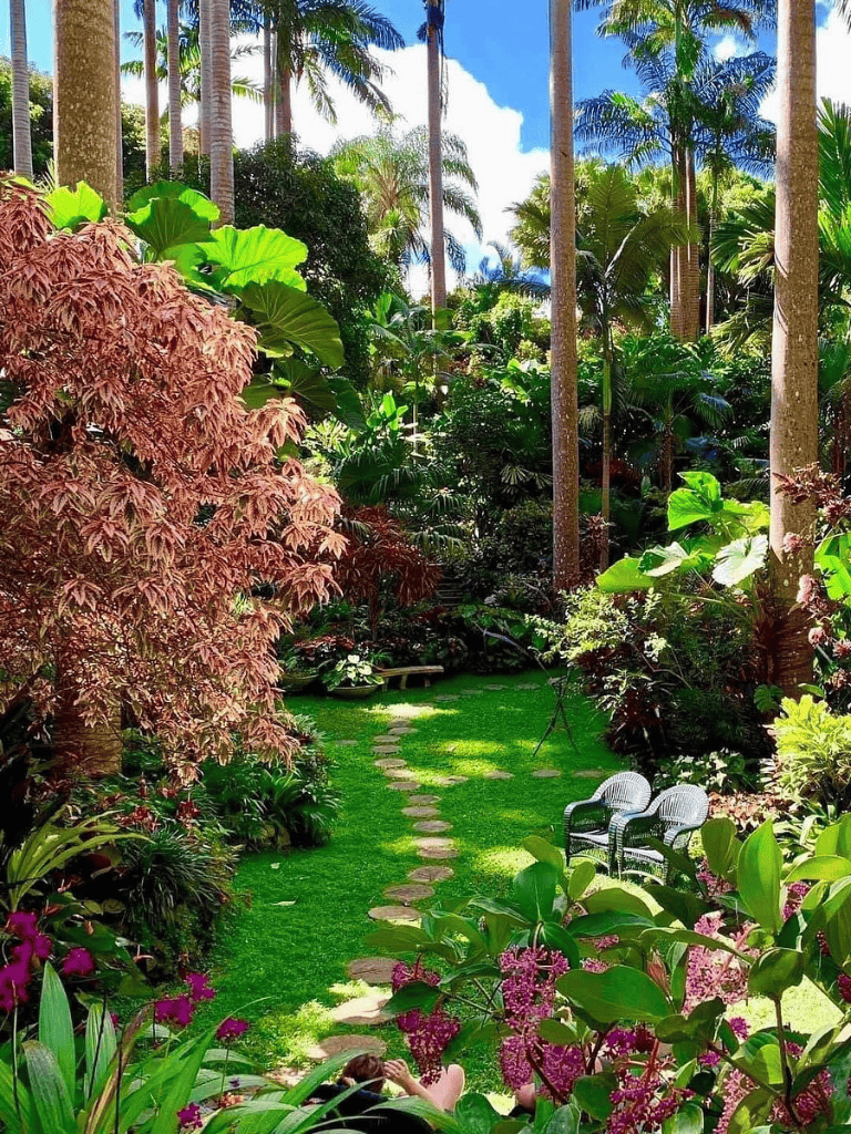 Lush tropical garden with stone pathway, seating, and vibrant foliage for relaxation and exploration.