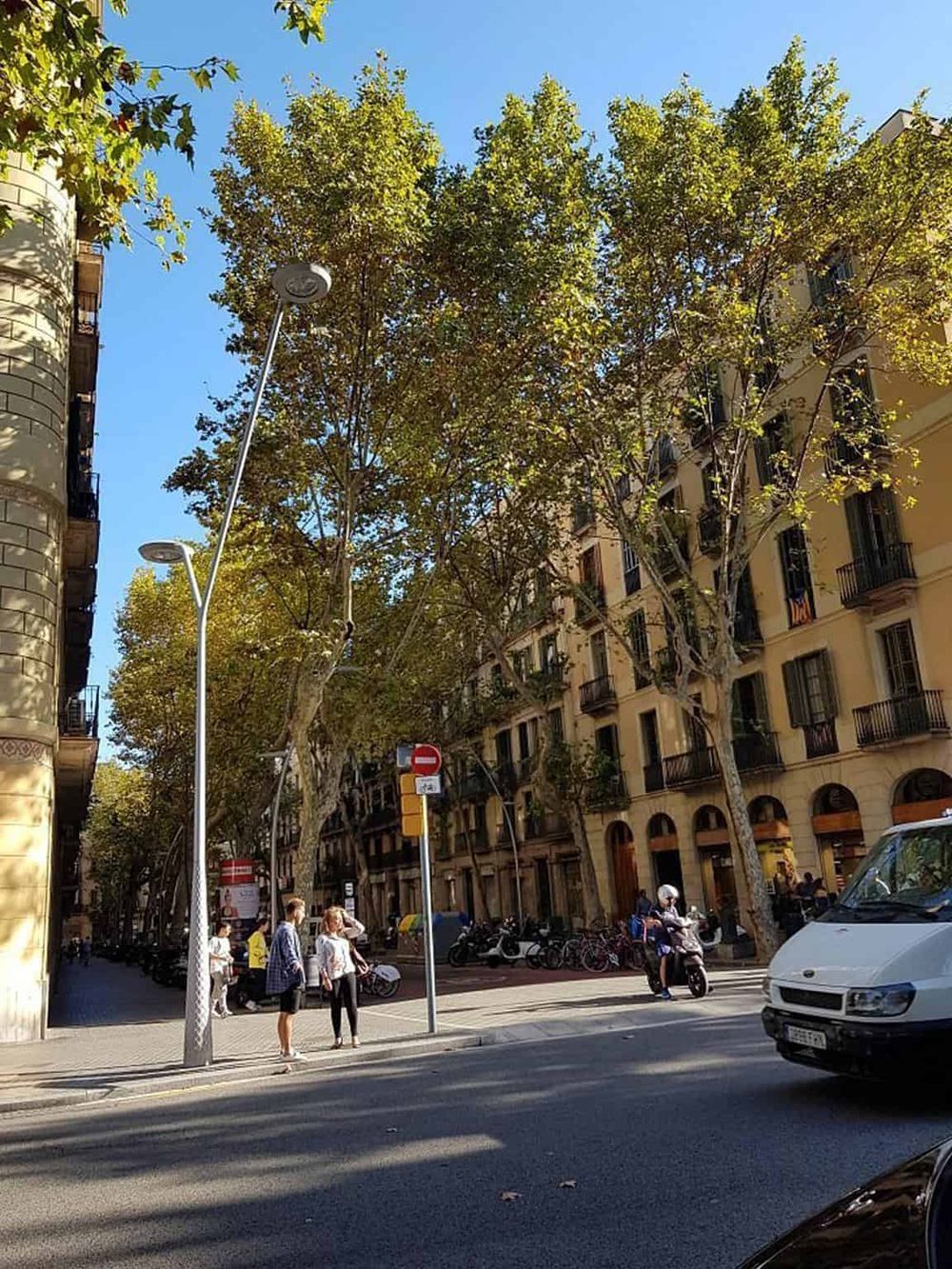 Lush green trees shading a city street with pedestrians and scooters, vibrant urban travel scene.