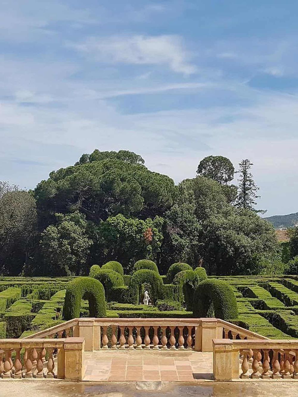 Lush garden with elegant manicured hedges and trees, showcasing beautiful landscaping at QuestForDirections.