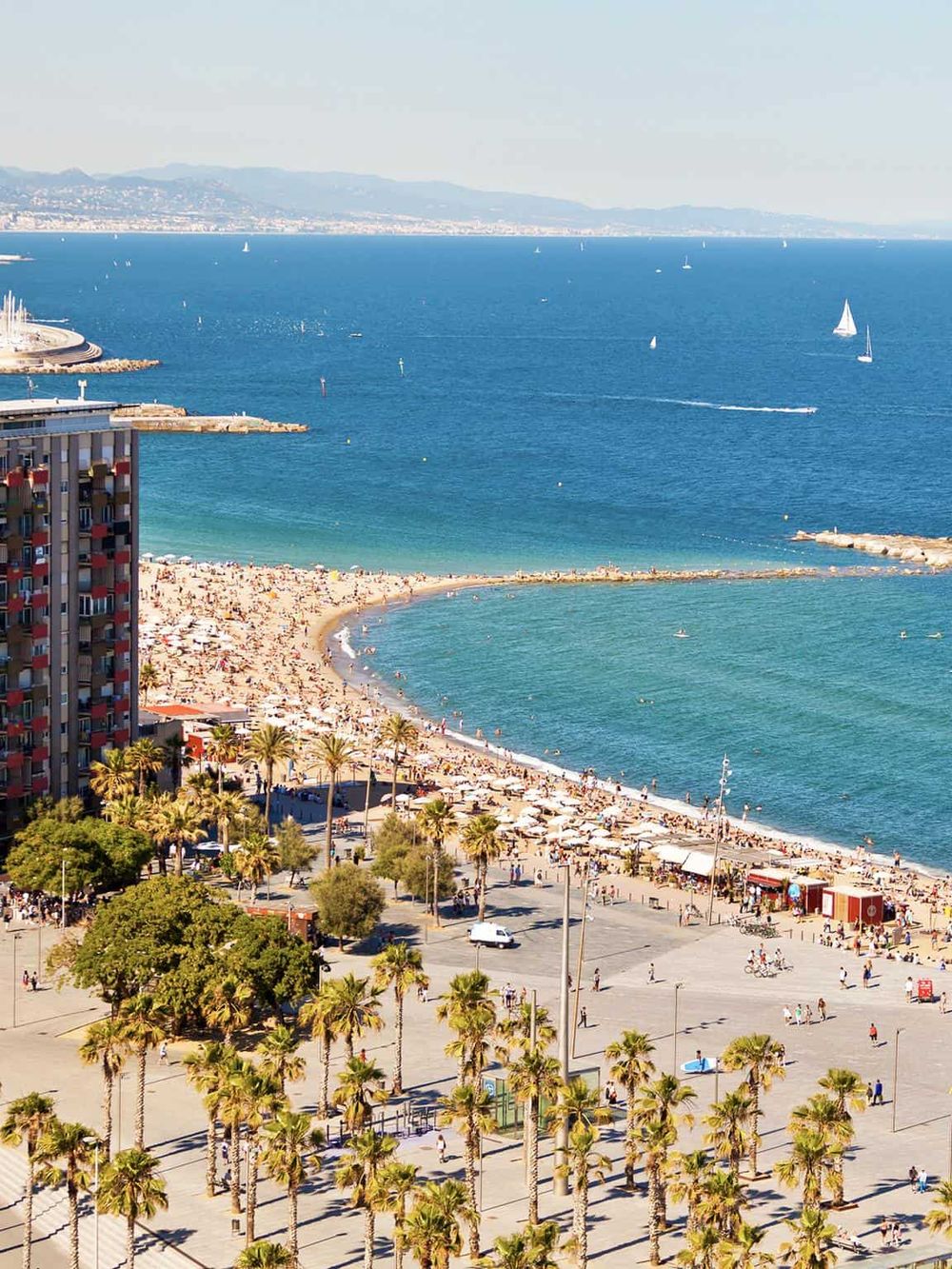 Vibrant coastal cityscape with sunny beach, palm trees, sailboats, and ocean views for travel planning.