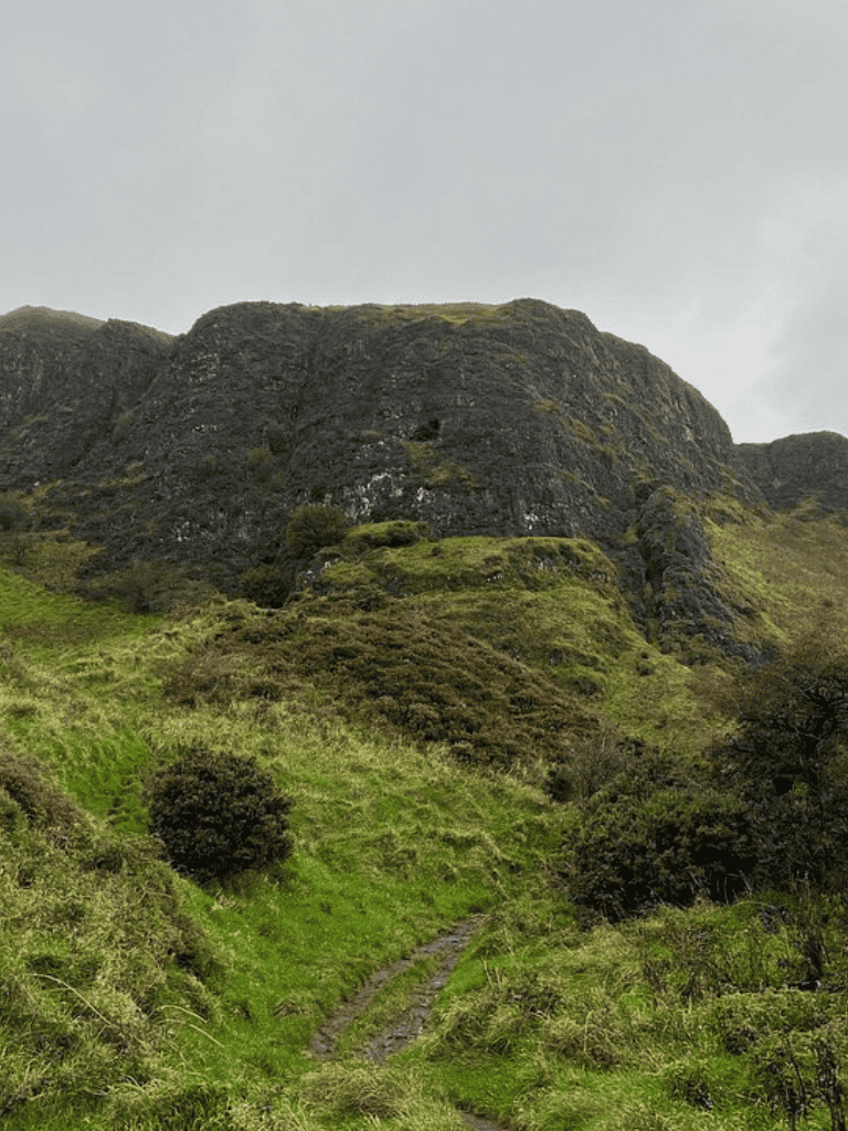 Lush green mountain trail with rocky peaks in the background, ideal for outdoor adventure and hiking.