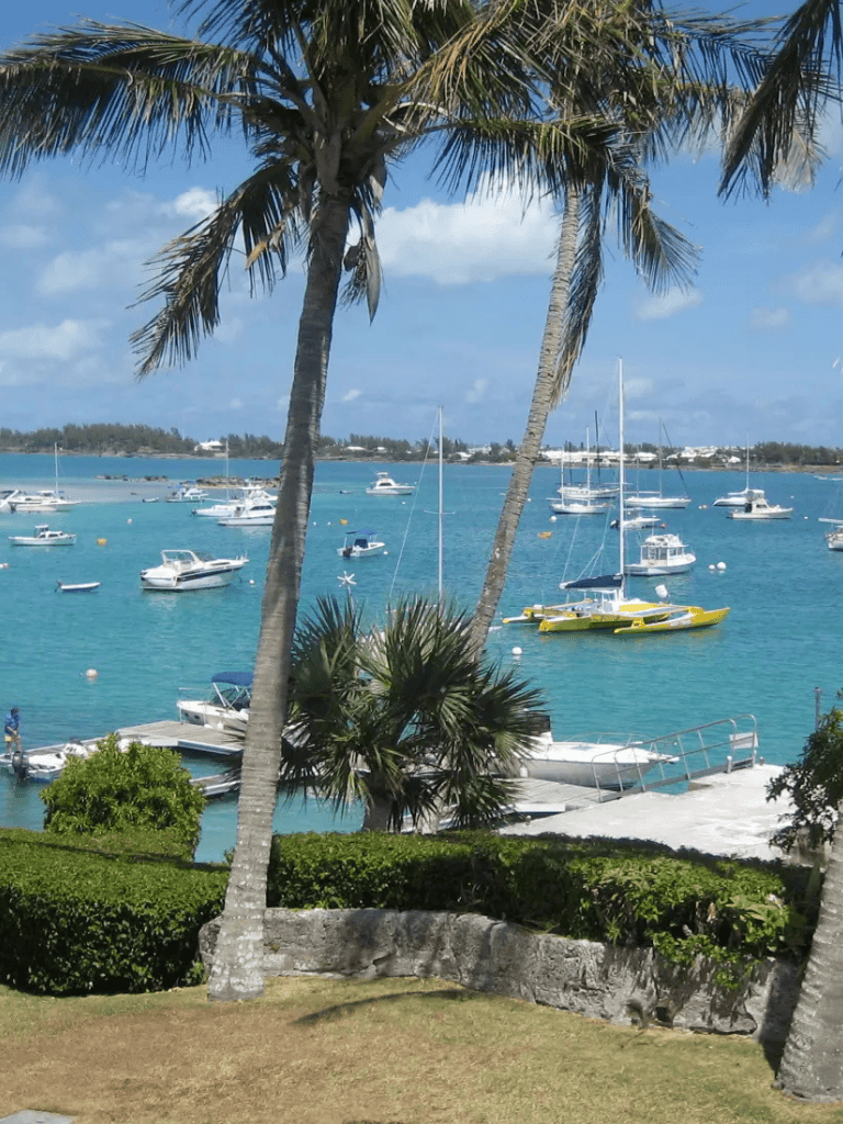 Relaxing tropical marina harbor with sailboats and palm trees, perfect for vacation planning.