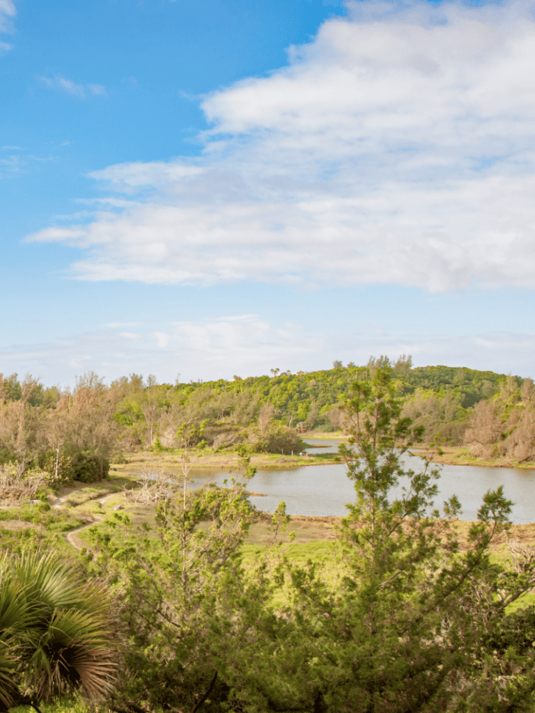 Tranquil lakeside landscape with lush greenery and blue sky, perfect for nature exploration and outdoor adventures.