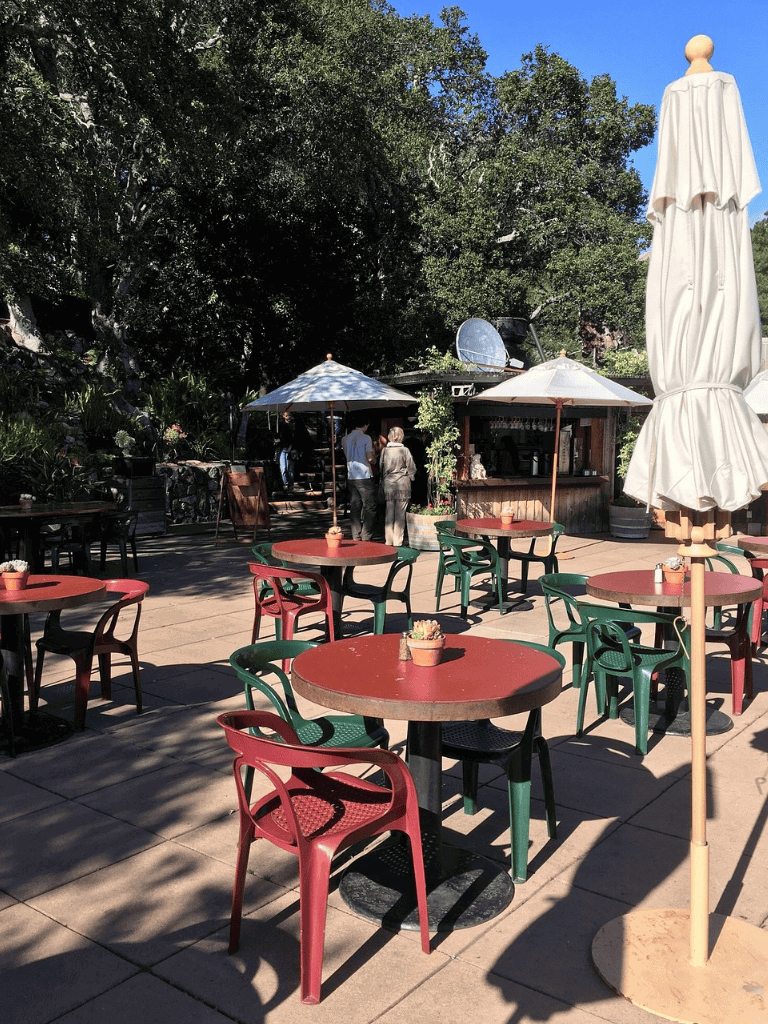 Colorful outdoor dining area at QuestForDirections, surrounded by lush greenery and shaded umbrellas for a relaxing experience.