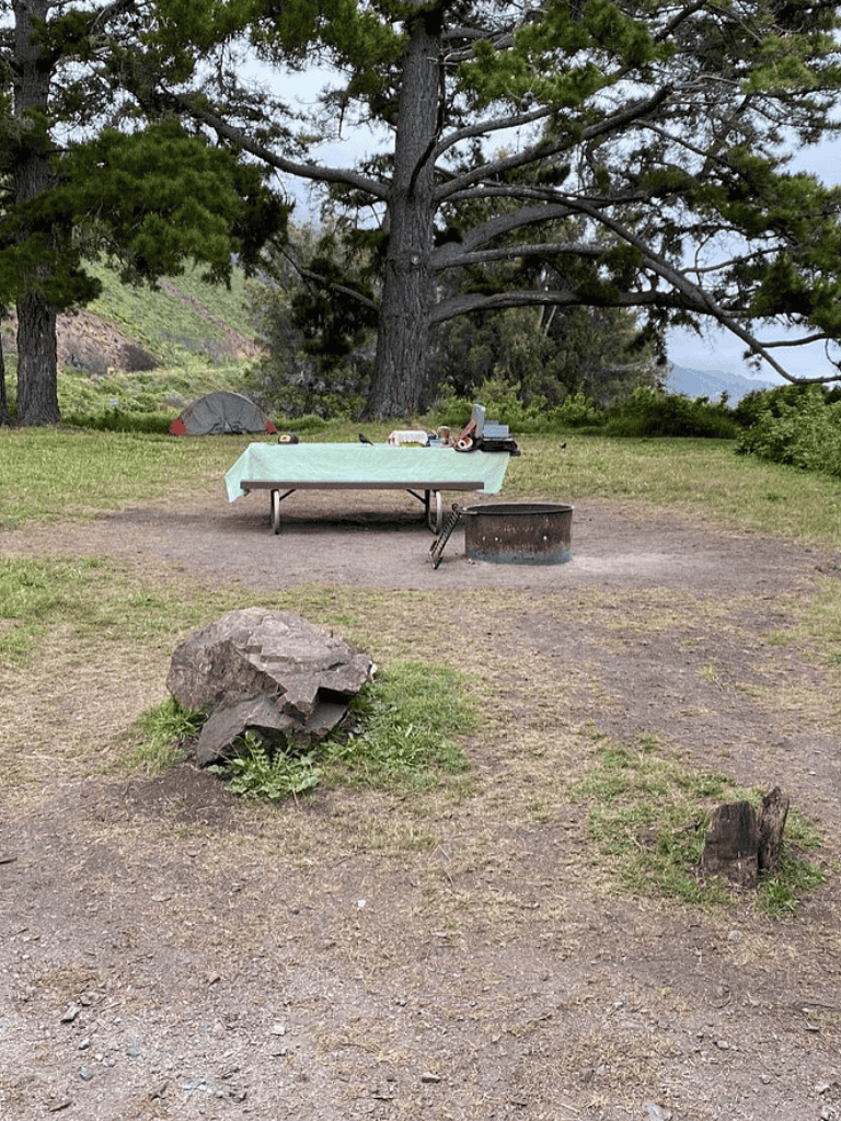 Tent campsite with picnic table and fire pit surrounded by trees and nature scenery.