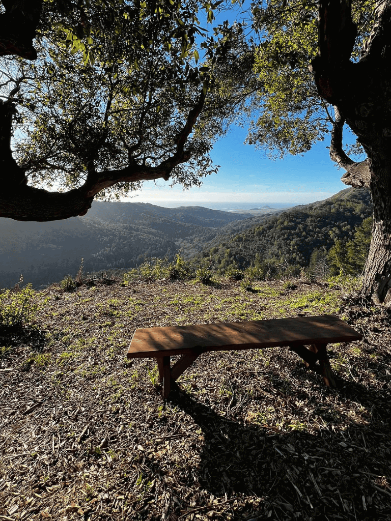 Serene mountain overlook with a wooden bench under trees, breathtaking coastal view, perfect for outdoor adventures.