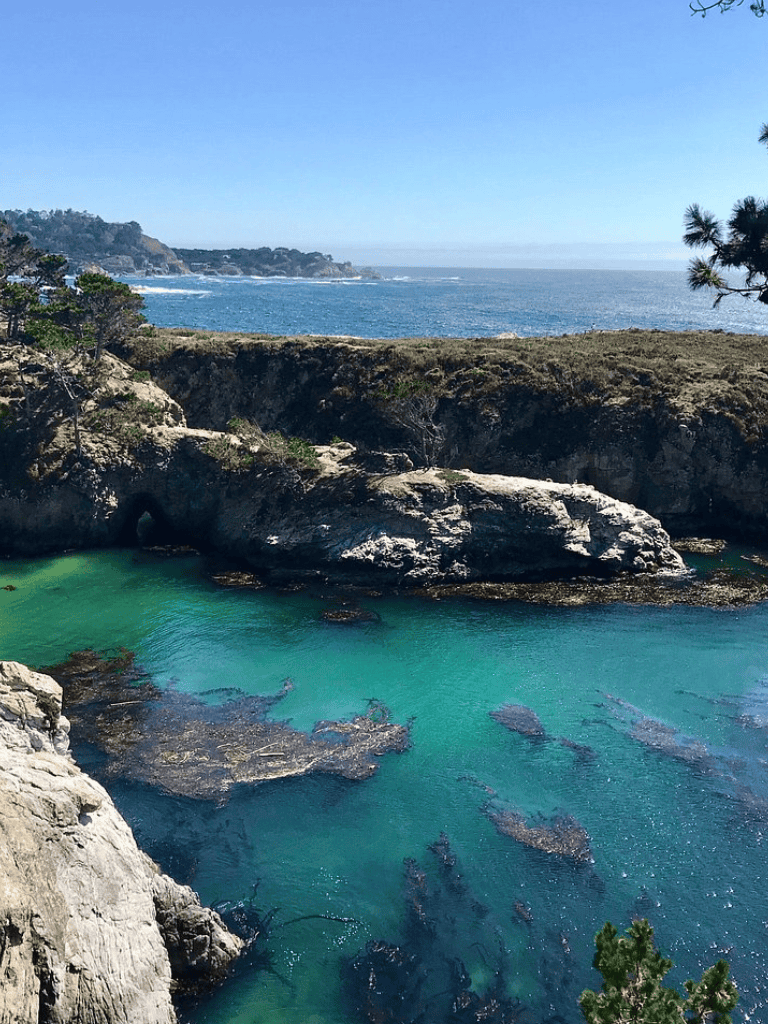 Hidden coastal tide pools with lush vegetation and scenic ocean views, perfect for nature lovers and exploration.
