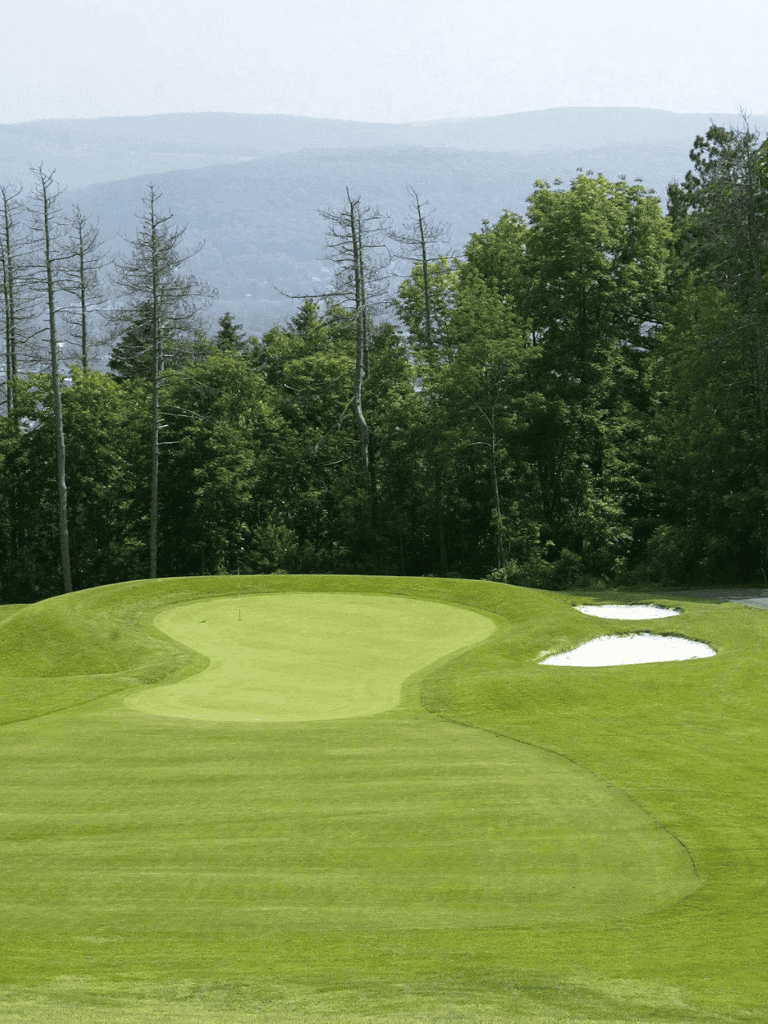 Lush green golf course with sand bunkers and scenic forest background.