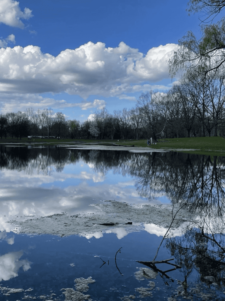 Tranquil park lake with reflection of blue sky and clouds, surrounded by trees and walking paths, perfect for outdoor relaxation.