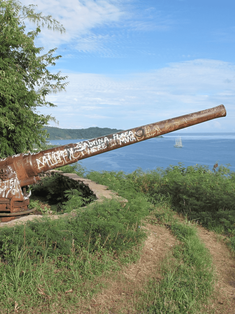 Rusty cannon overlooking ocean with graffiti and green landscape, scenic coastal view.
