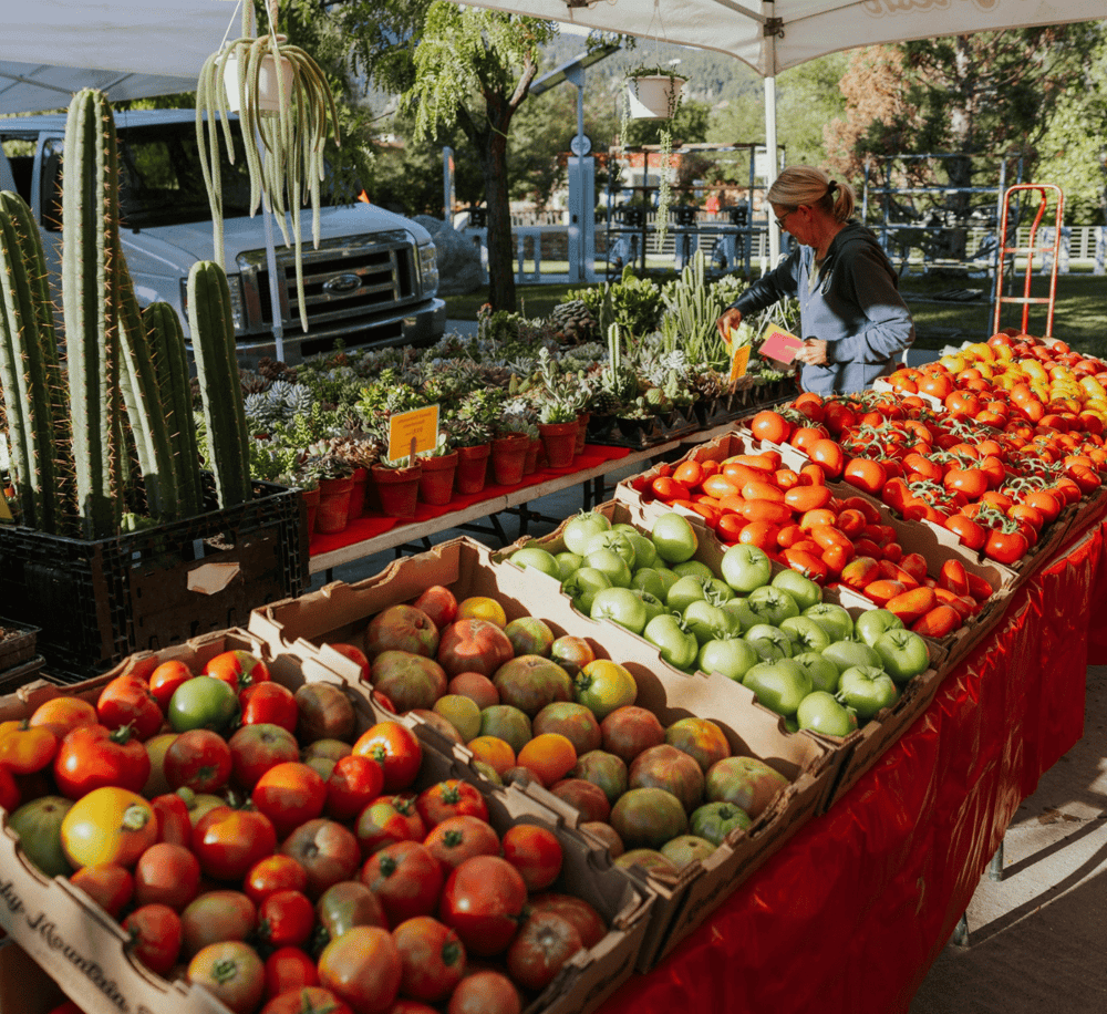 Fresh farm-fresh tomatoes, cucumbers, and succulents at a local farmers market for healthy living.