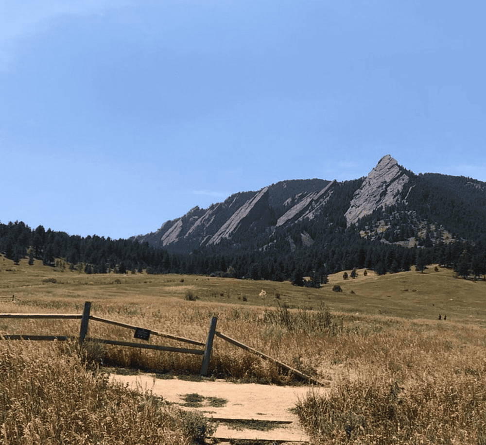 Vibrant mountain landscape with hiking trail and treeline, scenic views, nature exploration, QuestForDirections.