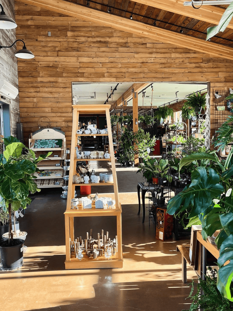 Colorful plant home decor shop with lush greenery and decorative ornaments inside.