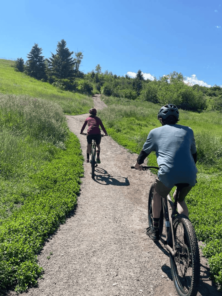 Scenic outdoor mountain biking trail with two cyclists on a sunny day, lush greenery, and clear blue sky.