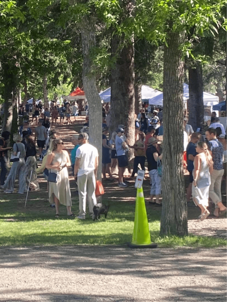 Outdoor marketplace at QuestForDirections event with people browsing tents and vendors in a park setting.
