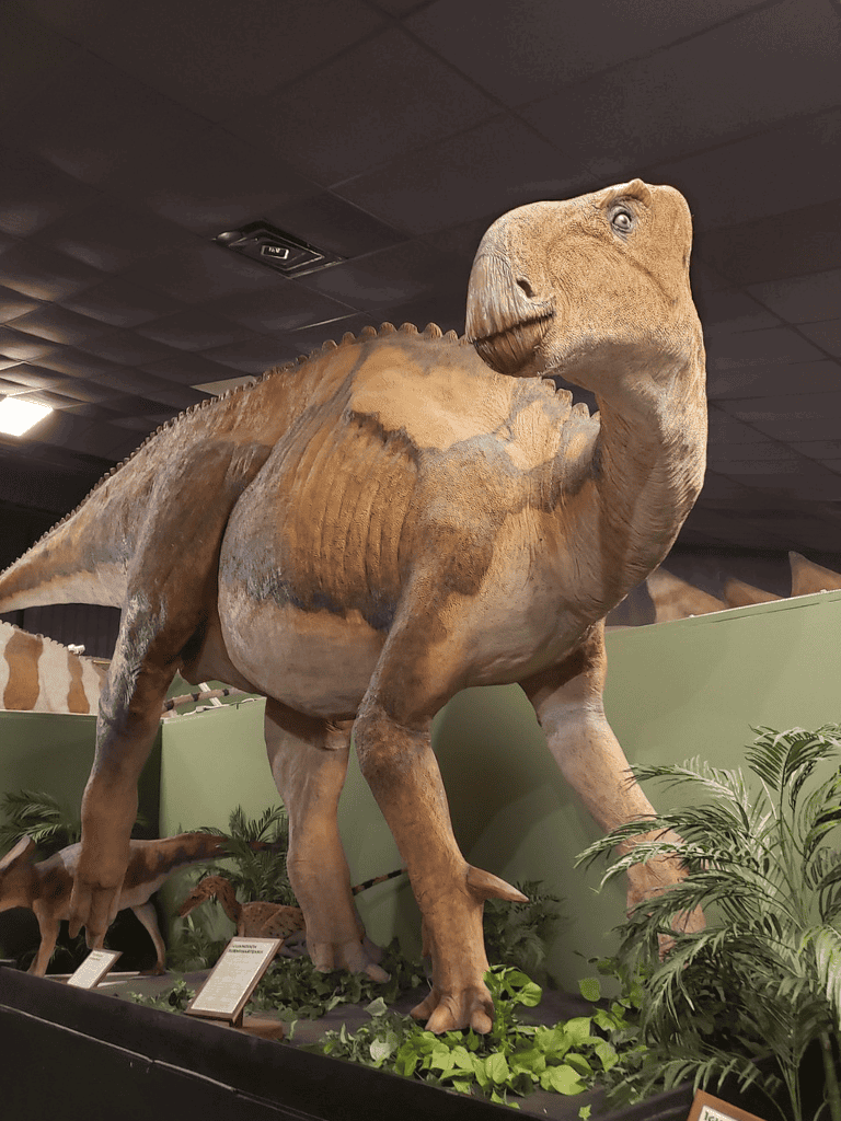 Dinosaurs display at QuestForDirections museum, educational exhibits about prehistoric life and fossils.