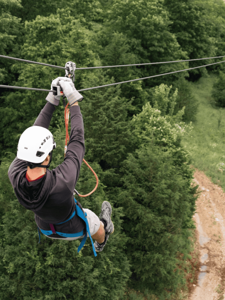 Outdoor ziplining adventure through lush green forest nature scenery.