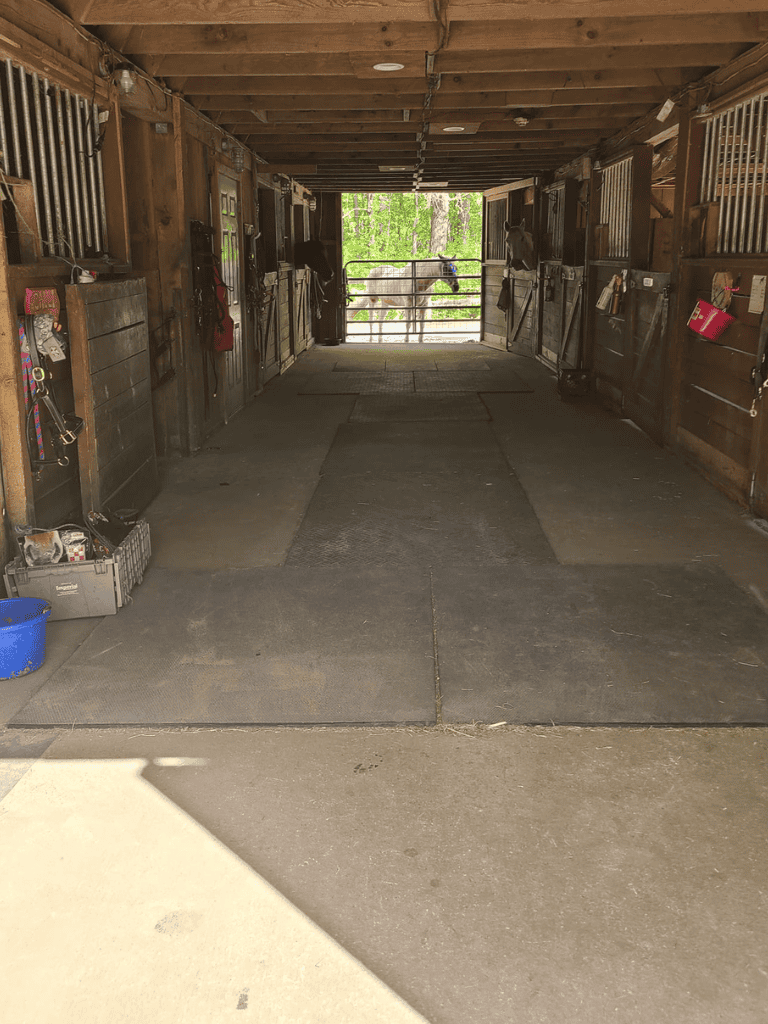 Spacious horse stall with open view of pasture and horse, ideal for equestrian living or training.