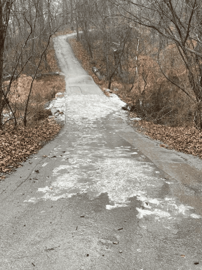 Icy rural road surrounded by leafless trees in winter.