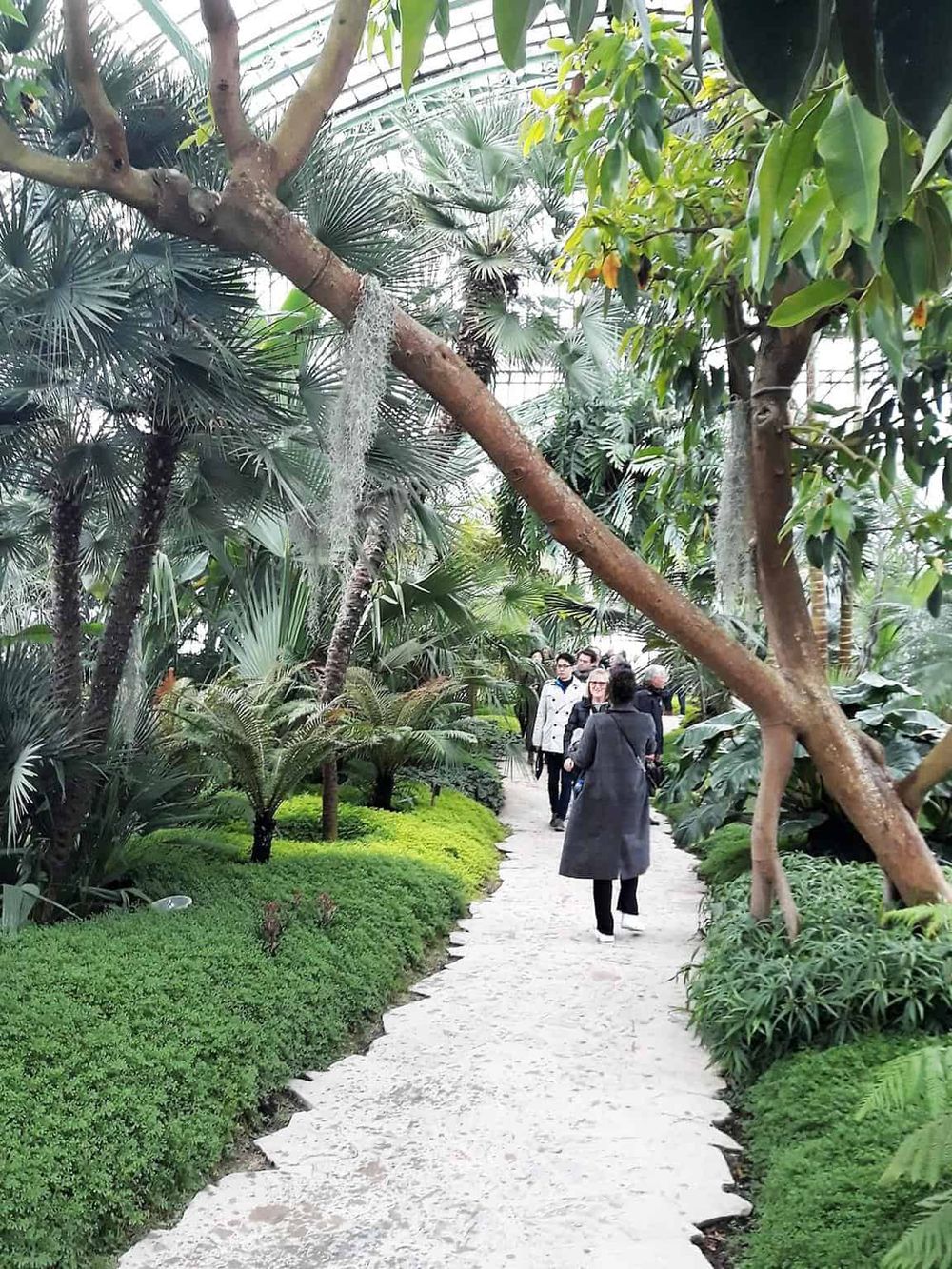Lush indoor botanical garden with diverse tropical plants and visitors exploring a scenic pathway.
