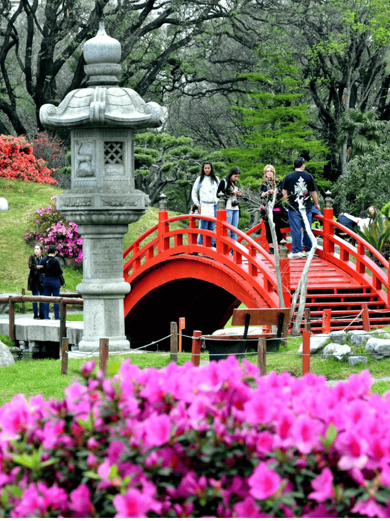 Tranquil Japanese garden with red bridge, stone lantern, and blooming flowers, perfect for peaceful walks.