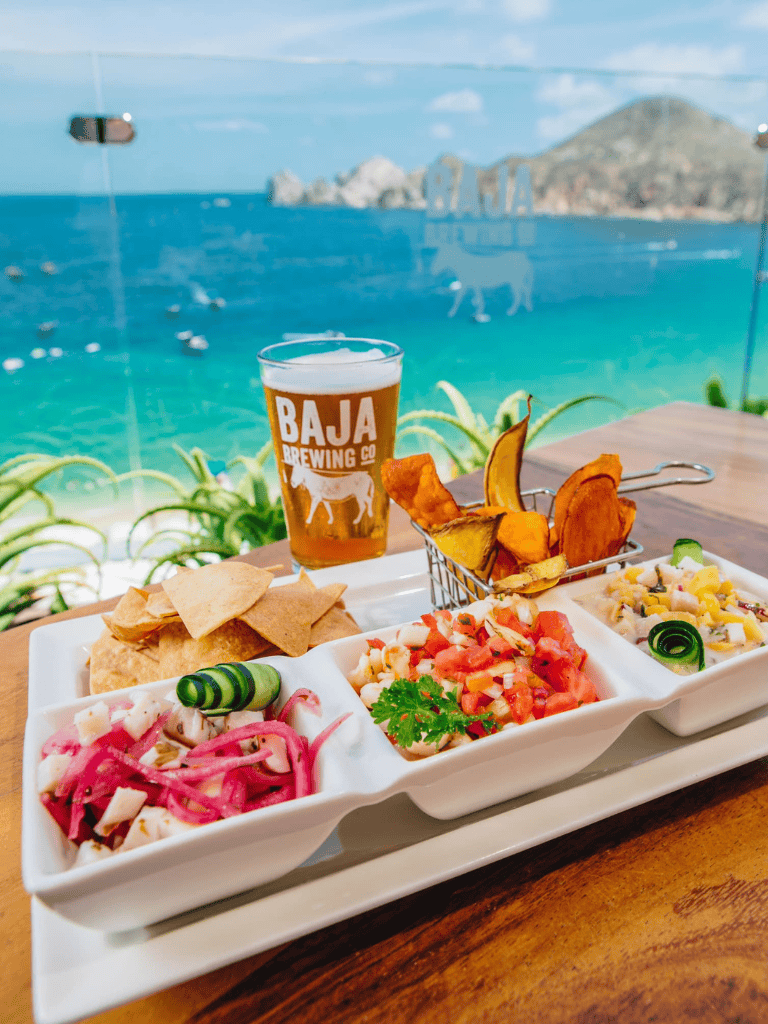 Vietnamese street food platter with chips and craft beer overlooking ocean view.