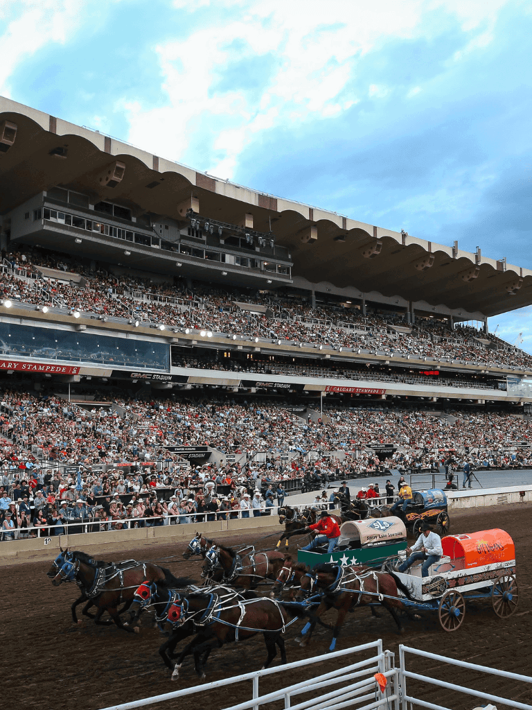 Thrilling horse racing event at a stadium with large crowd attendance and multiple horse-drawn carts on the track.