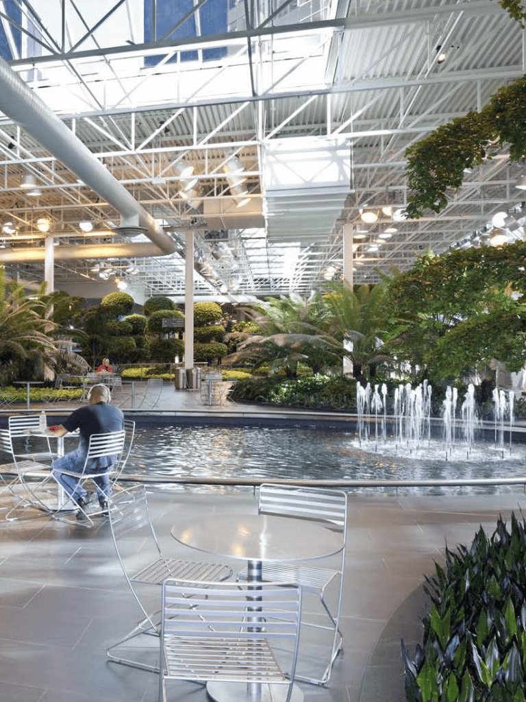 Indoor botanical oasis with water features and seating, emphasizing horticultural attractions and relaxing atmosphere.