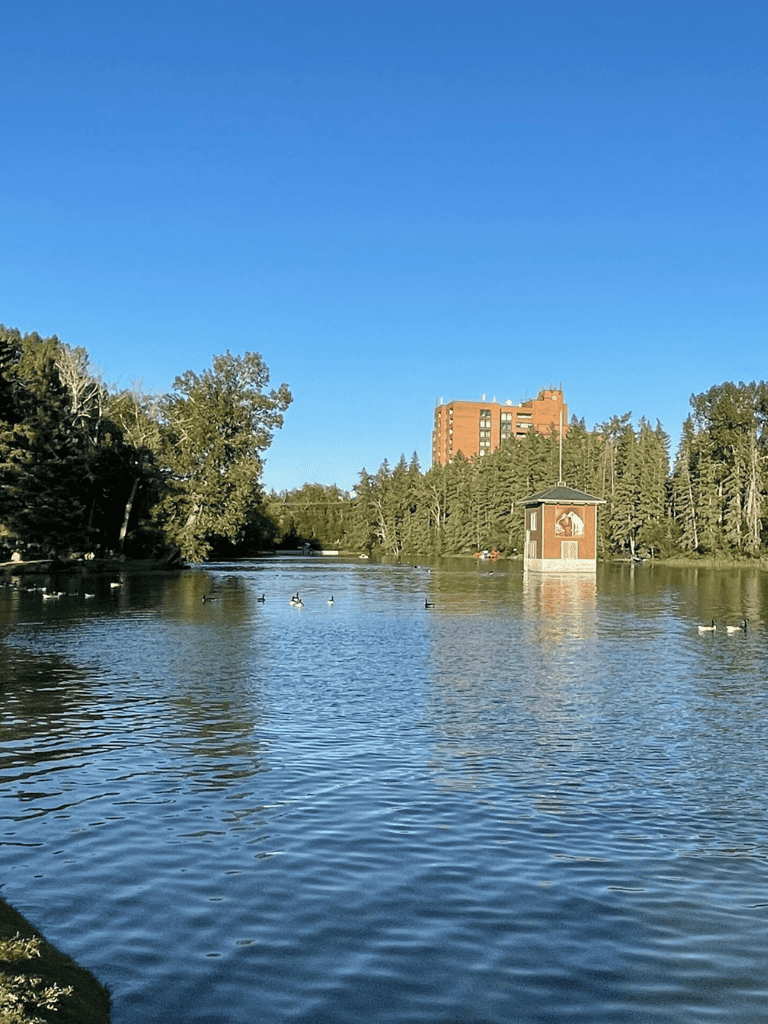 Tranquil park with a lake, ducks, trees, and a building in the background for outdoor recreation and nature exploration.