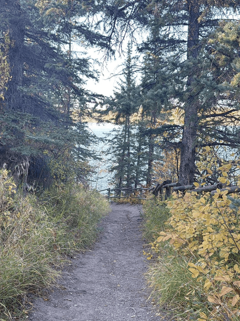 Serene forest trail by QuestForDirections for outdoor navigation and adventure SEO.