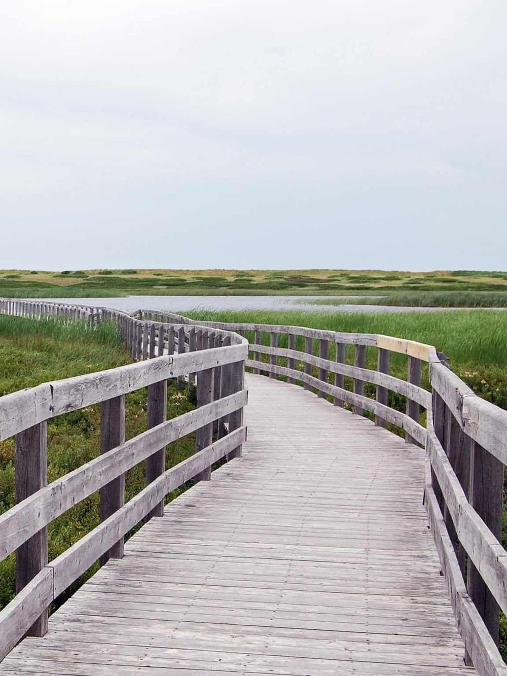 Aerial view of a wooden boardwalk through lush green wetlands and water bodies, perfect for nature exploration.