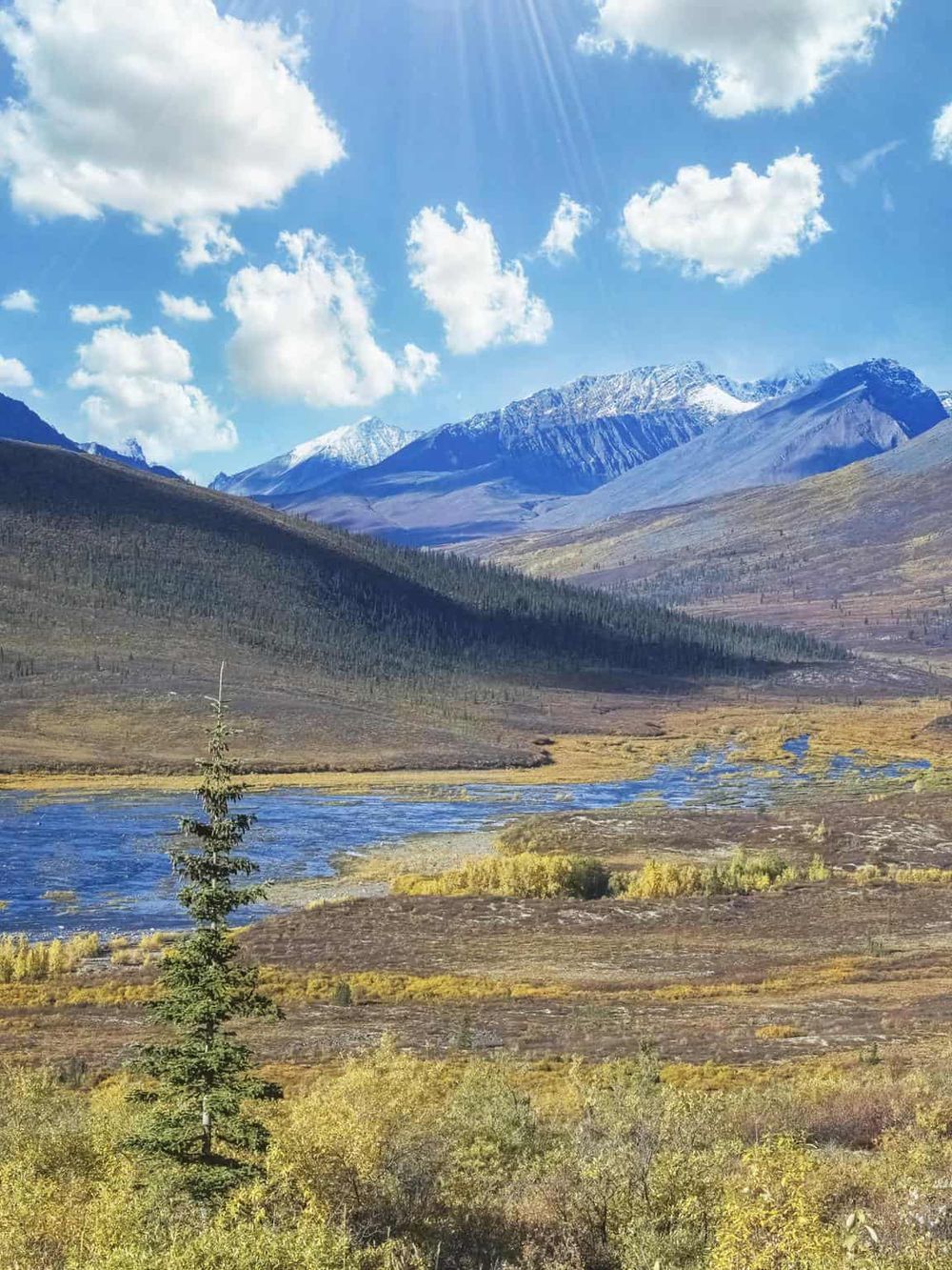 Stunning mountain landscape with snow-capped peaks, lush forests, and a flowing river under a bright blue sky.