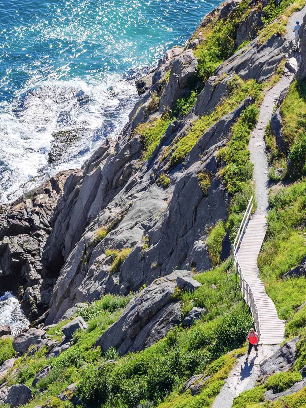 Stunning coastal trail along rugged rocky cliffs with ocean views and green vegetation.
