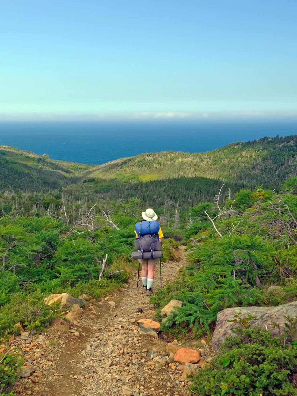 Vast outdoor adventure with hiker trekking through scenic forest trail overlooking ocean views.