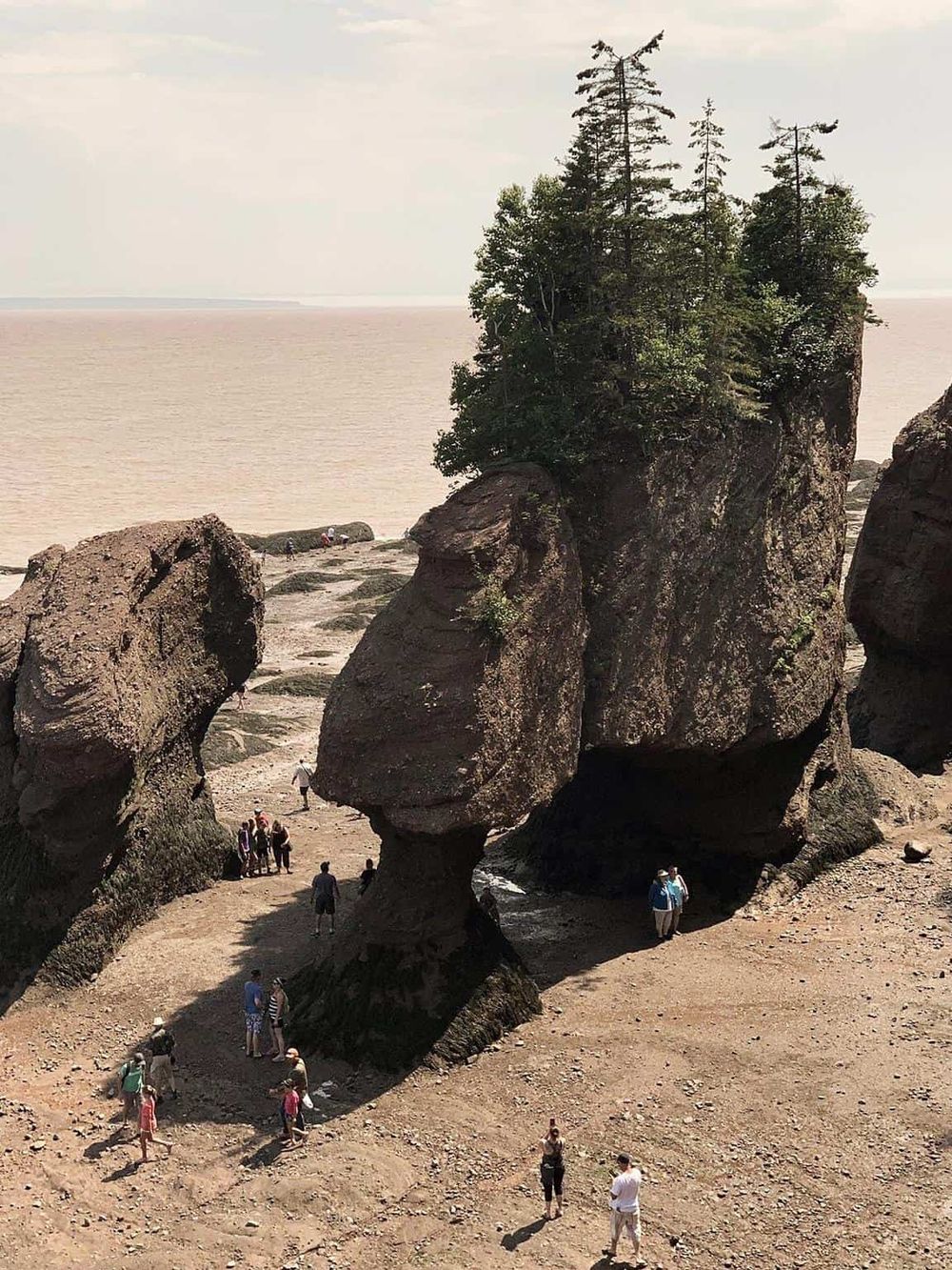 Unique rock formations at a scenic coastal viewpoint, perfect for sightseeing and exploring nature trails.
