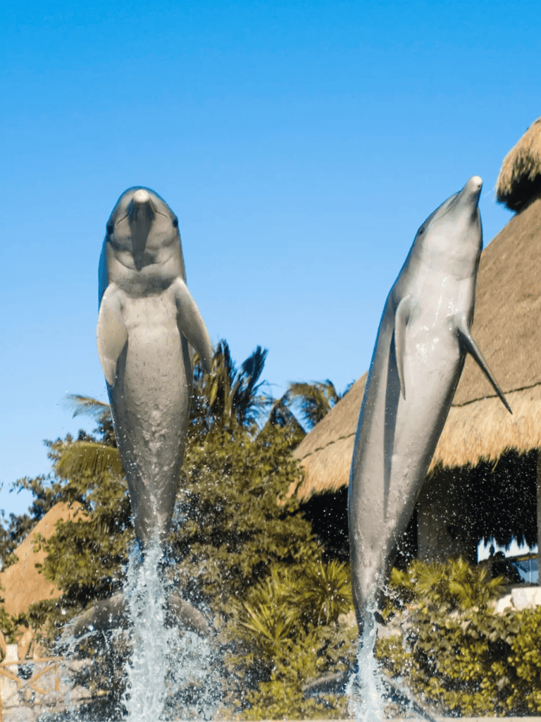 Jumping dolphins sculpture at Quest For Directions, an ocean-themed outdoor attraction.