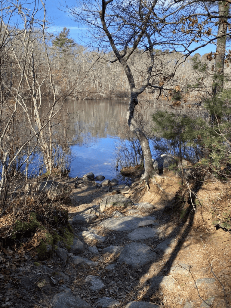 Tranquil river pathway through wooded area, scenic nature trail for outdoor exploration.