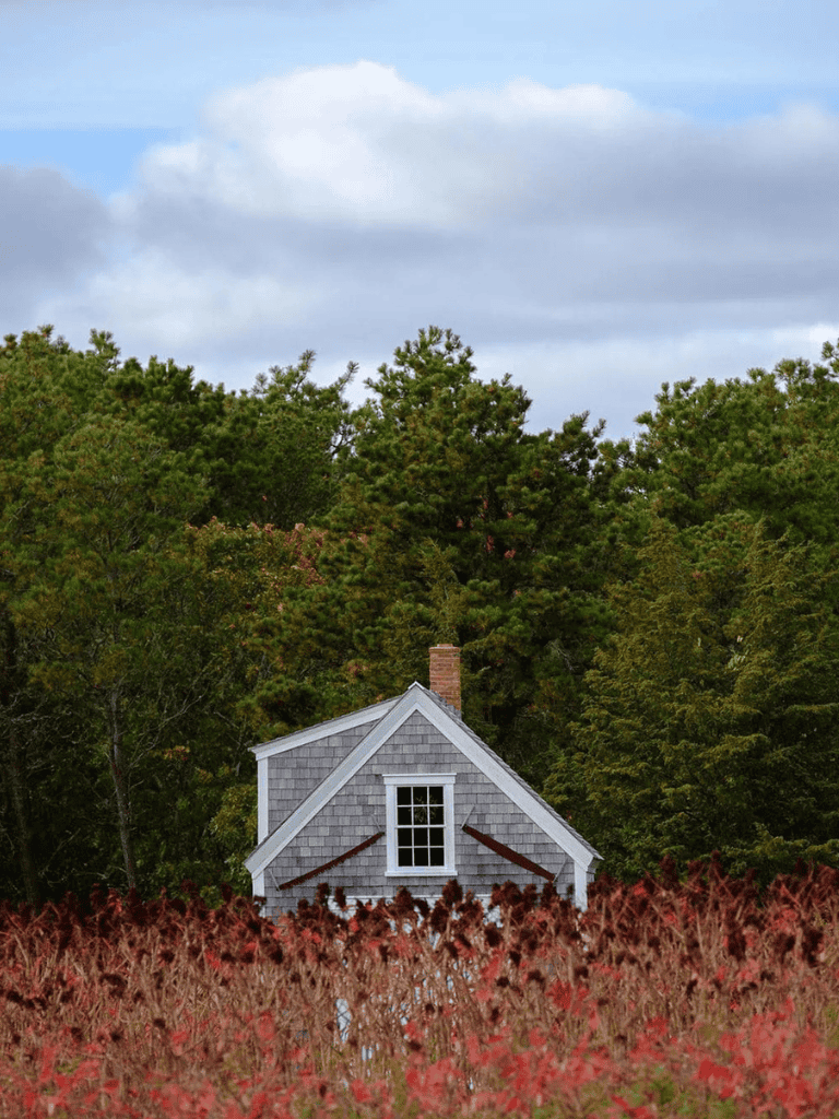 Cozy countryside house surrounded by trees and colorful field, scenic rural landscape in autumn.