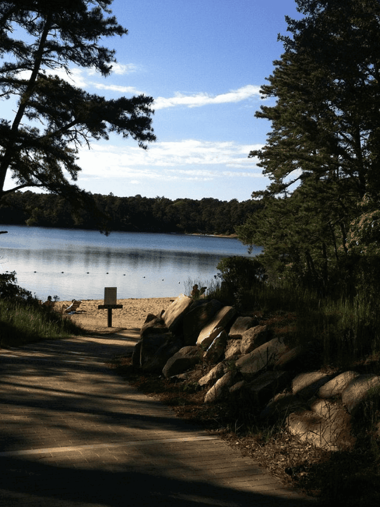 Tranquil lakeside scene with trees and sandy beach, perfect for nature walks and outdoor relaxation.