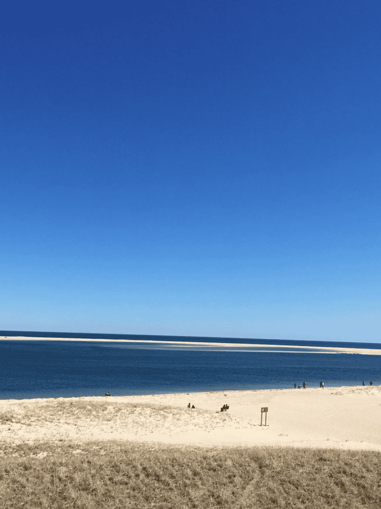 Serene beach landscape with clear blue sky and calm ocean waters, perfect for relaxation and travel planning.