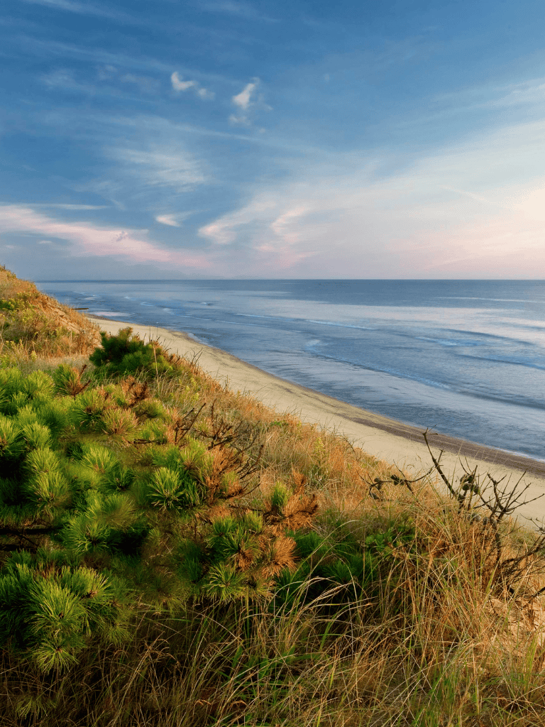 Vast beach with coastal dunes and lush greenery under a clear blue sky.