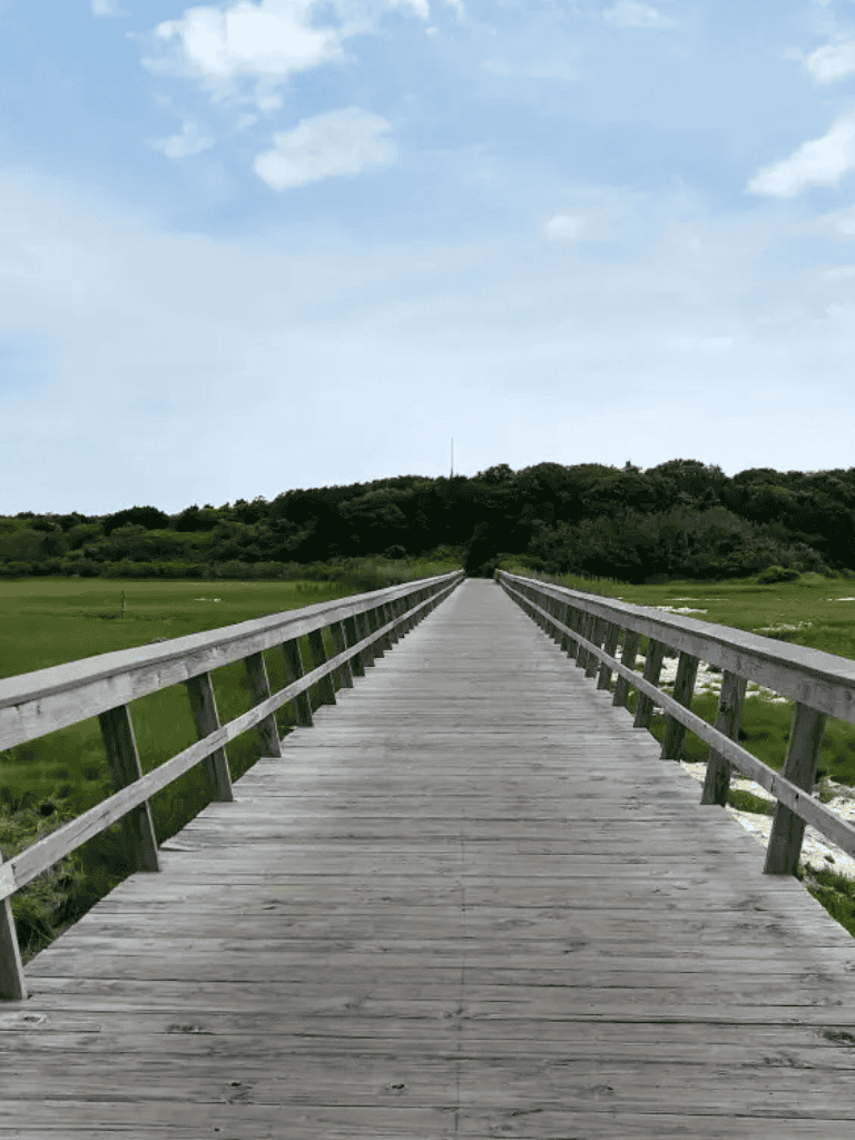 Wooden bridge extending over a lush green landscape with cloudy sky, ideal for outdoor adventures and scenic explorations.