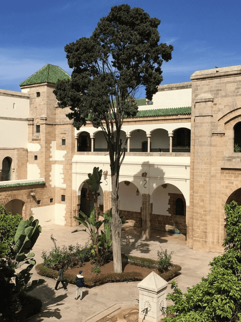 Lush courtyard with tall tree, historic architecture, and mosaic roofs in sunny weather.