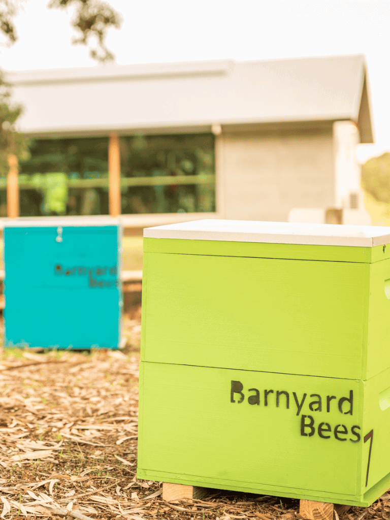 Colorful beehives at barnyard bees apiary for honey production and bee conservation.