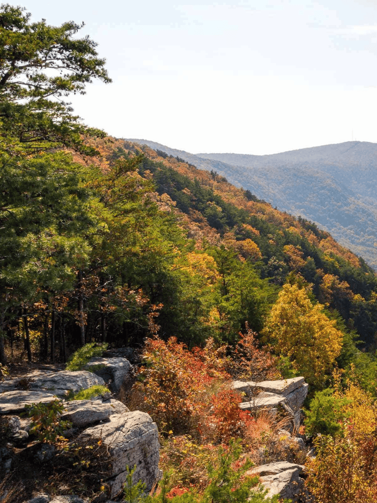 Vibrant autumn foliage overlooking a mountain landscape with rocks and lush trees in fall colors.
